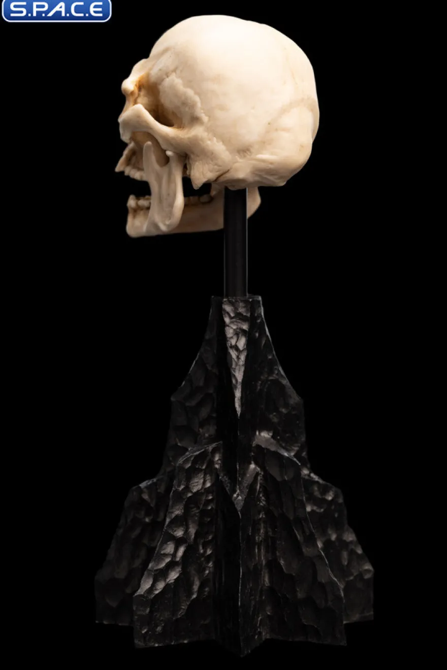 Skull of a Mordor Orc