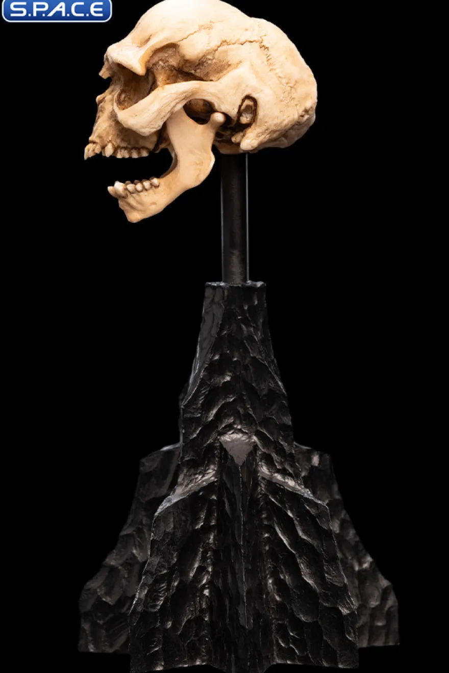 Skull of a Moria Orc