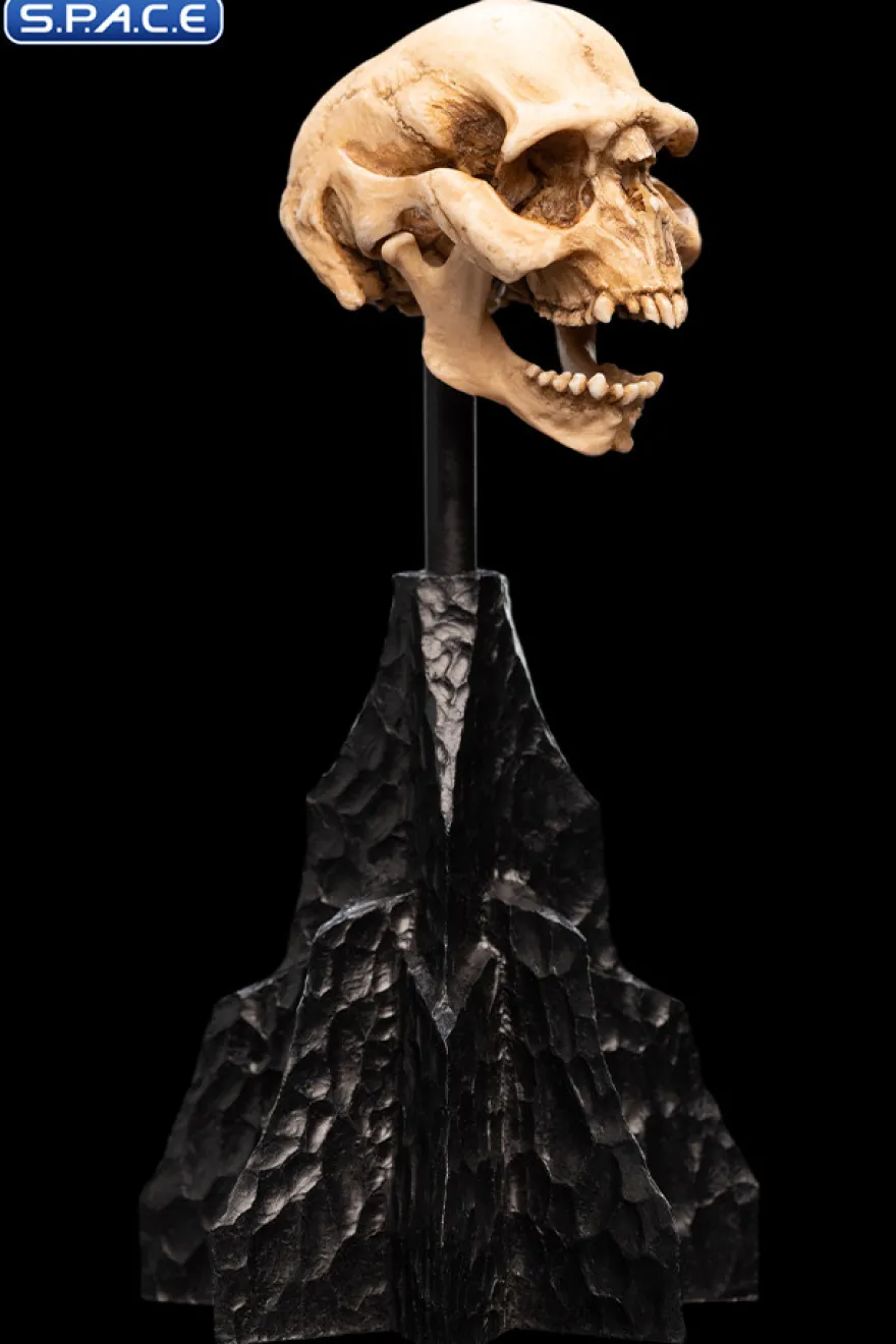 Skull of a Moria Orc