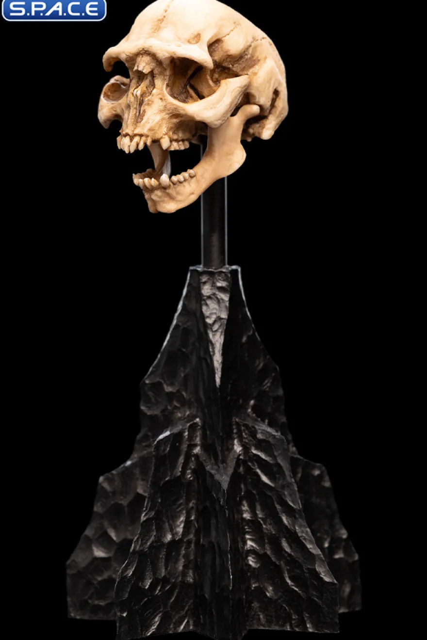 Skull of a Moria Orc