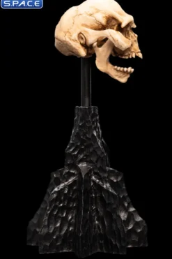 Skull of a Moria Orc