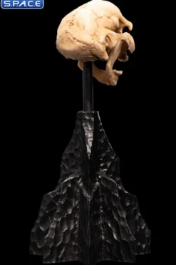 Skull of a Moria Orc
