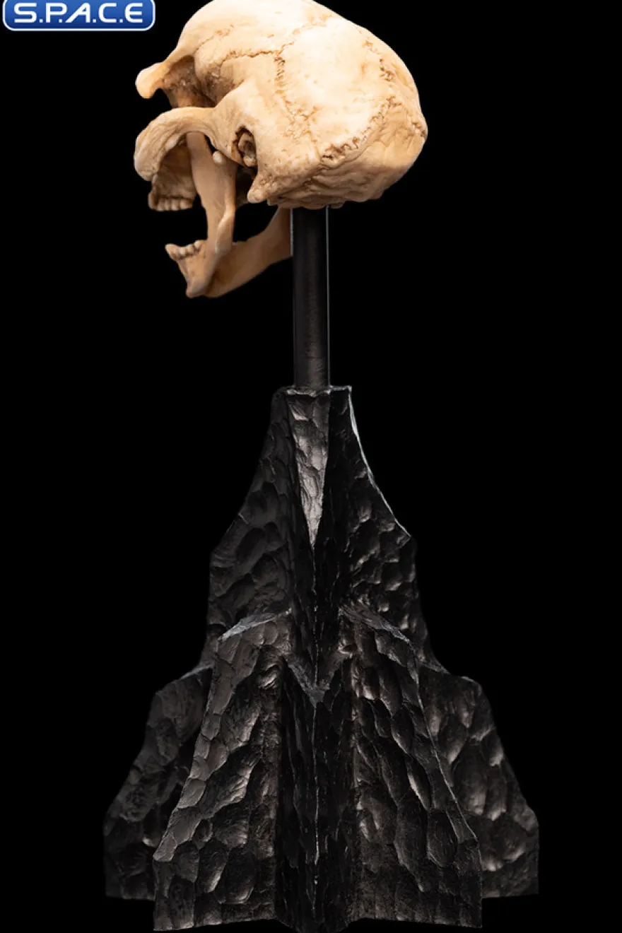 Skull of a Moria Orc