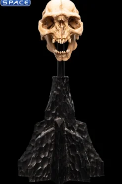 Skull of a Moria Orc