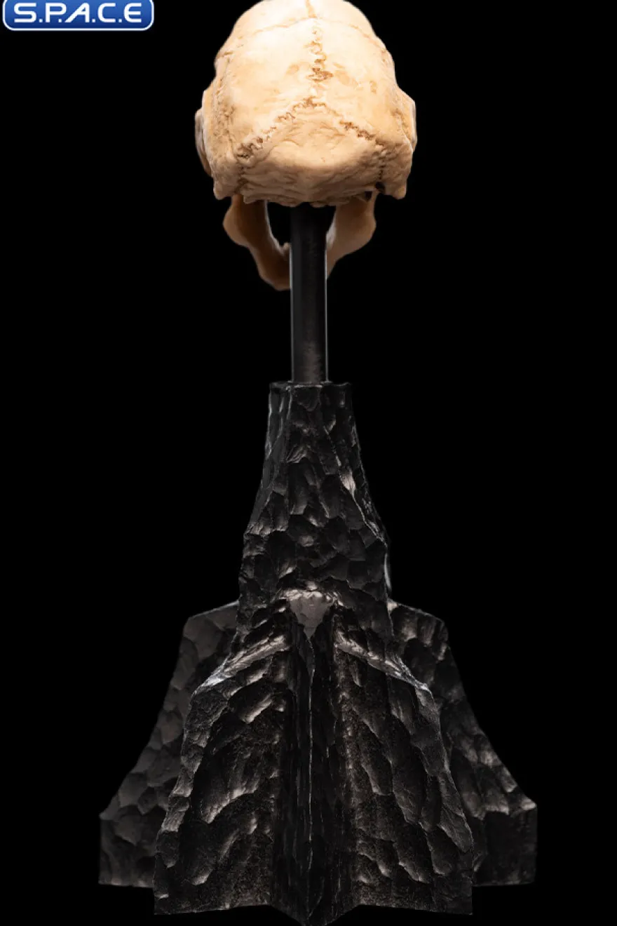 Skull of a Moria Orc