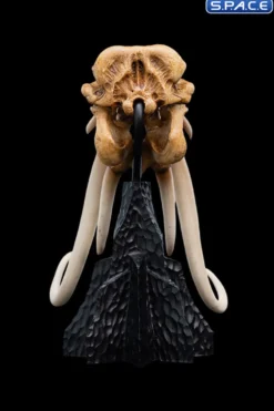 Skull of a Mumak