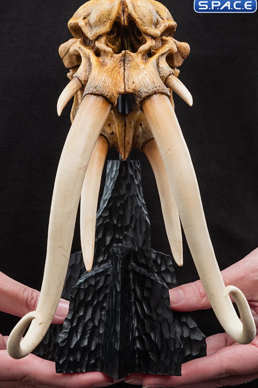 Skull of a Mumak