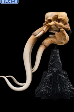 Skull of a Mumak