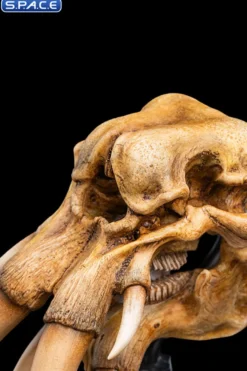 Skull of a Mumak
