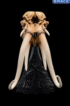 Skull of a Mumak