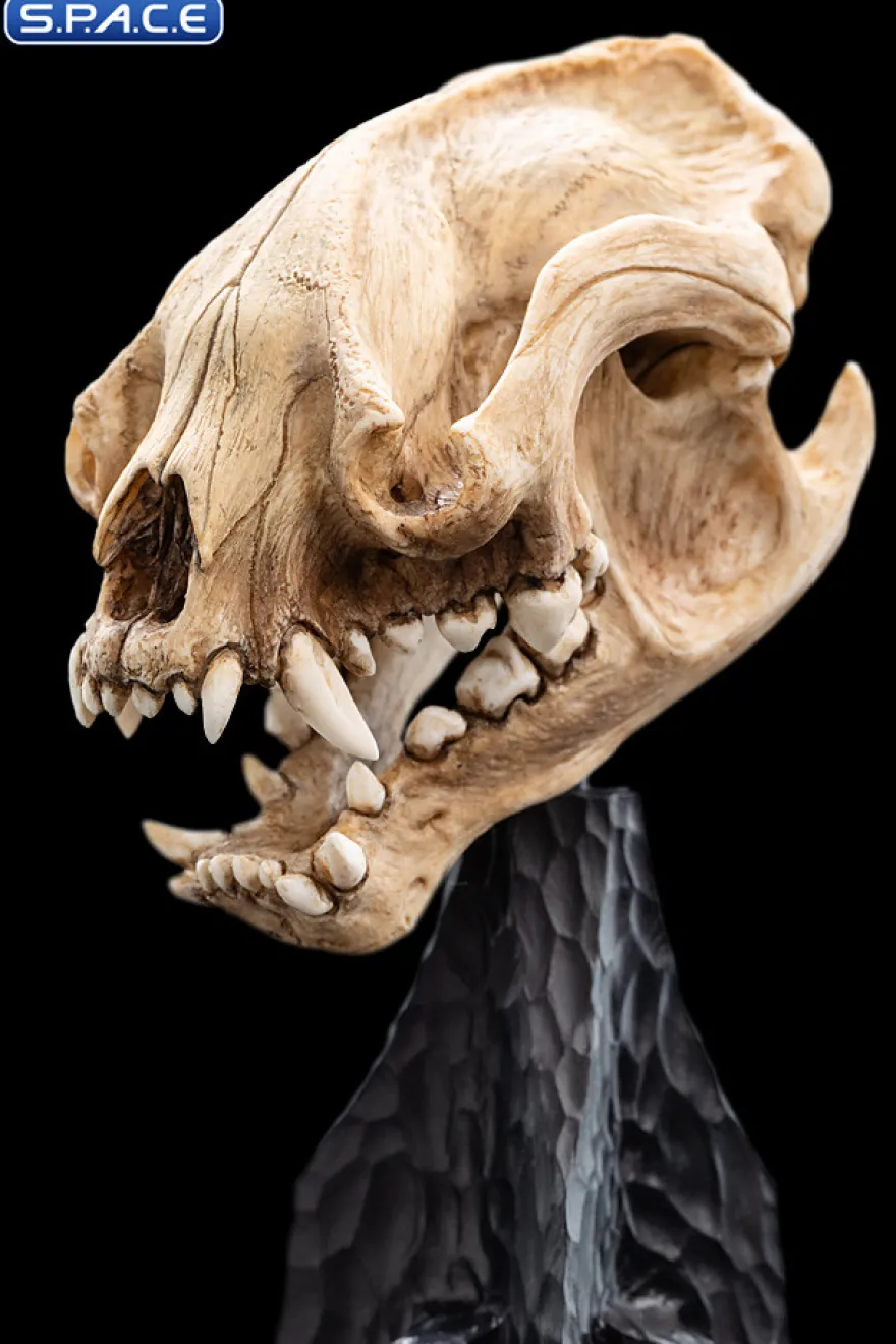 Skull of a Warg