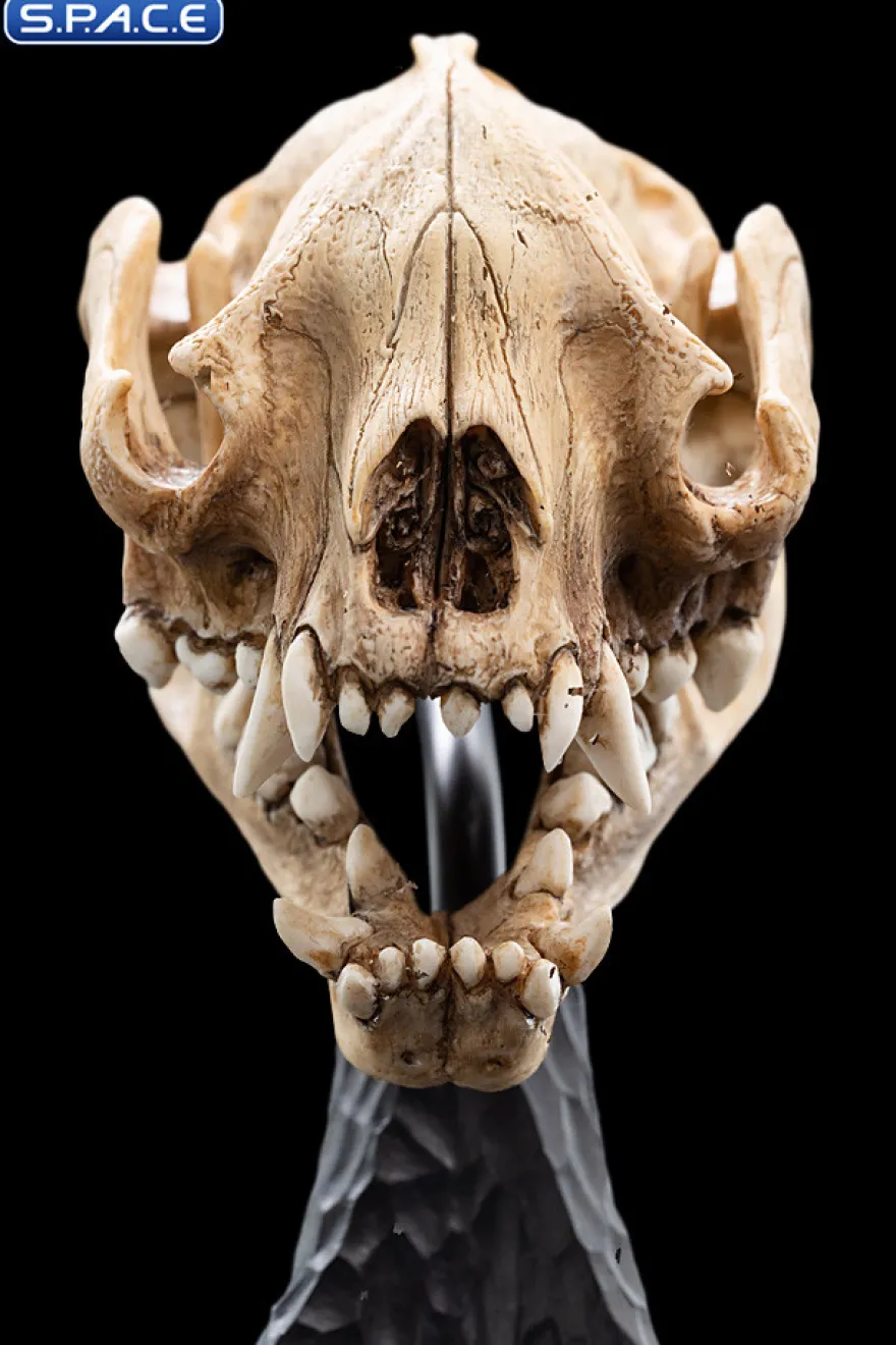 Skull of a Warg