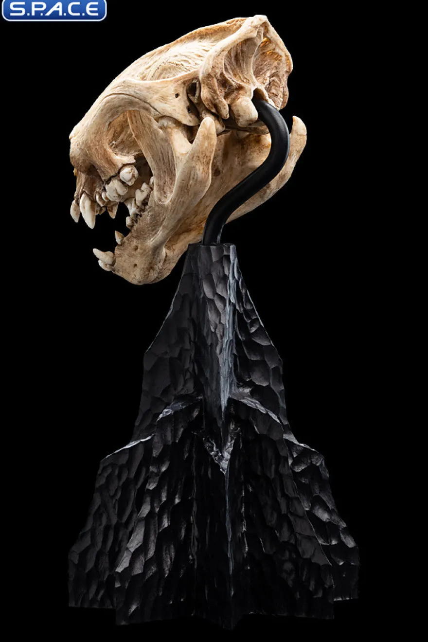 Skull of a Warg