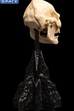 Skull of Lurtz