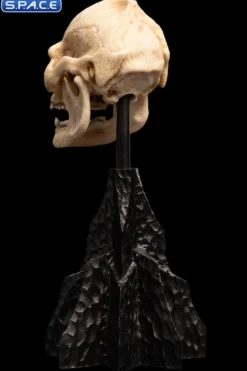 Skull of Lurtz