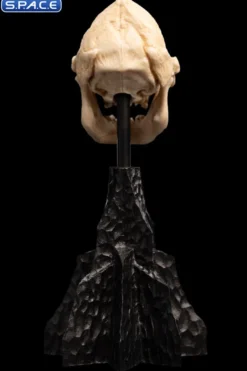 Skull of Lurtz