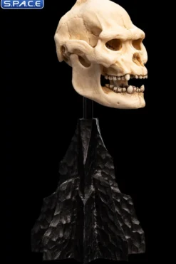 Skull of Lurtz