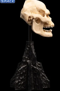 Skull of Lurtz