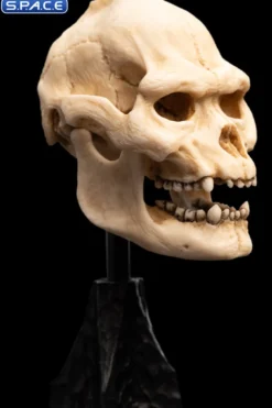 Skull of Lurtz