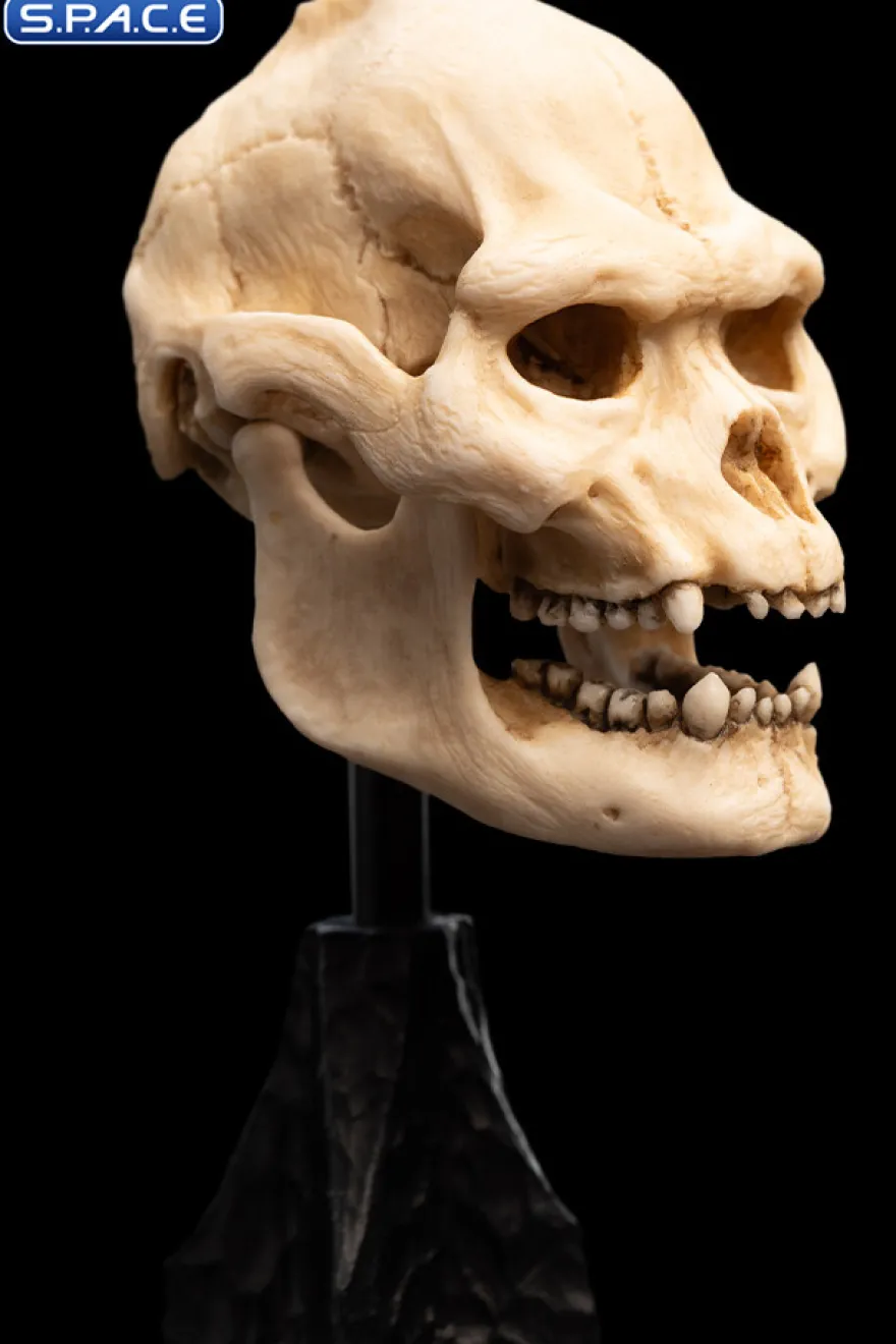 Skull of Lurtz