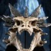 Skull of Smaug