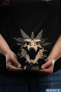 Skull of Smaug