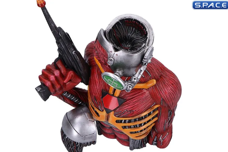 Somewhere in Time Bust