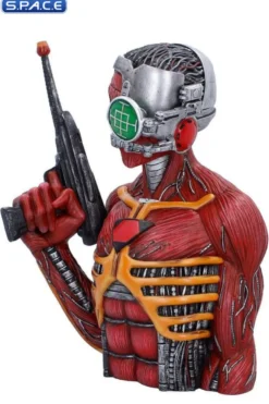 Somewhere in Time Bust