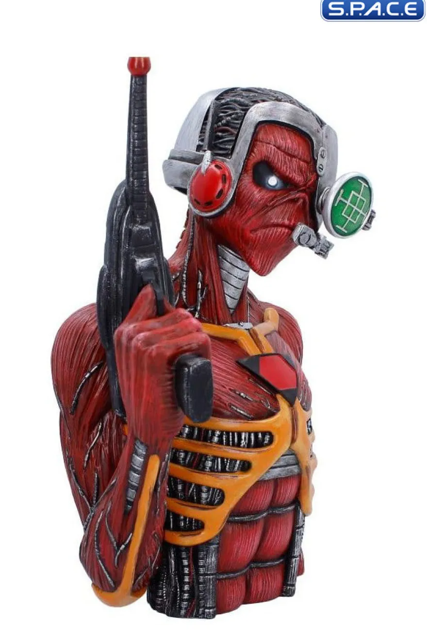 Somewhere in Time Bust
