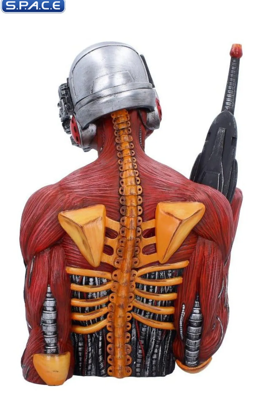 Somewhere in Time Bust
