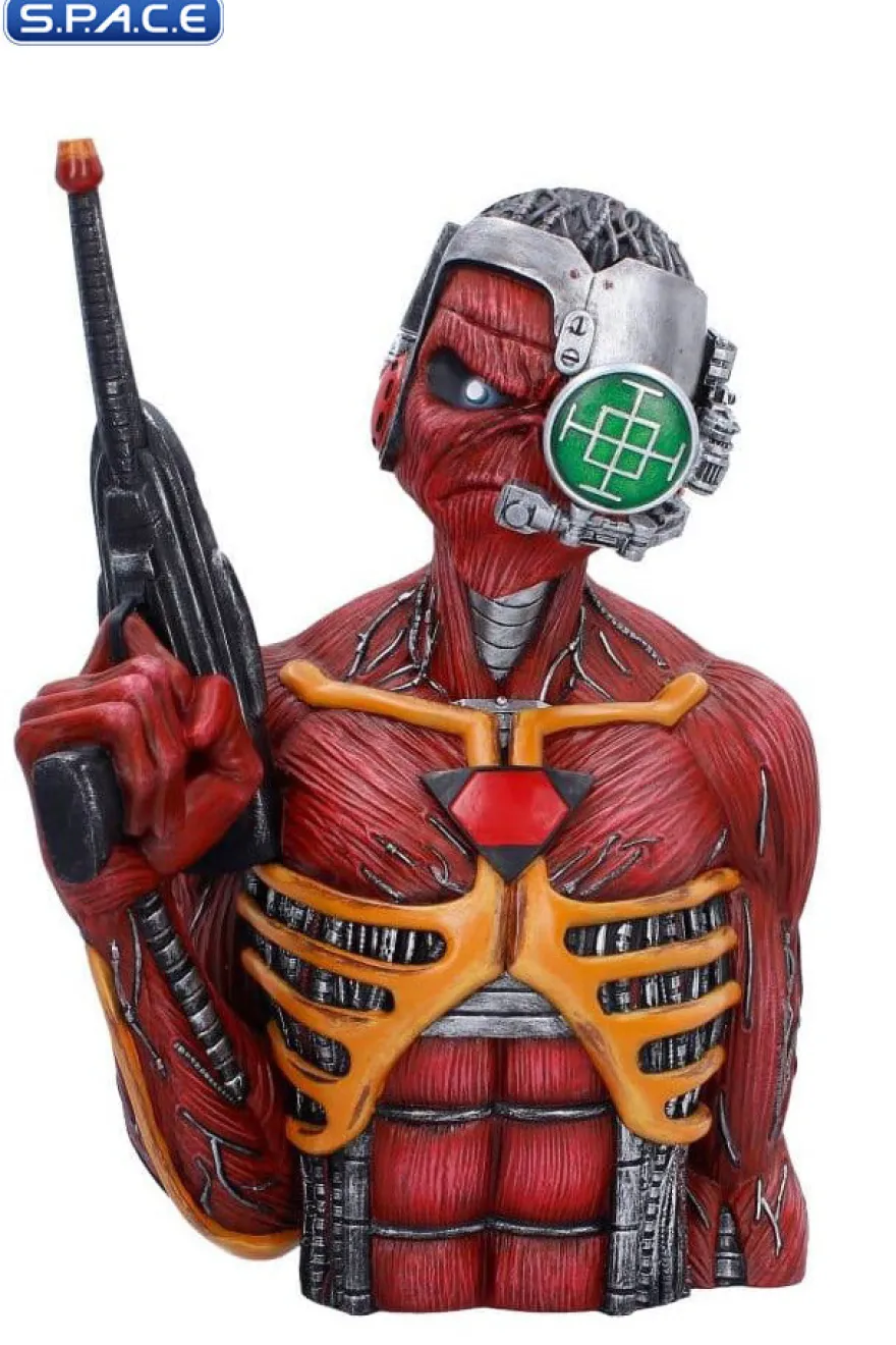 Somewhere in Time Bust