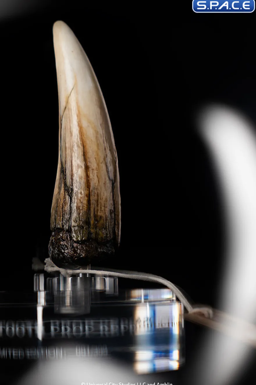 1:1 Spinosaurus Tooth Life-Size Replica