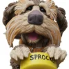 Sprocket