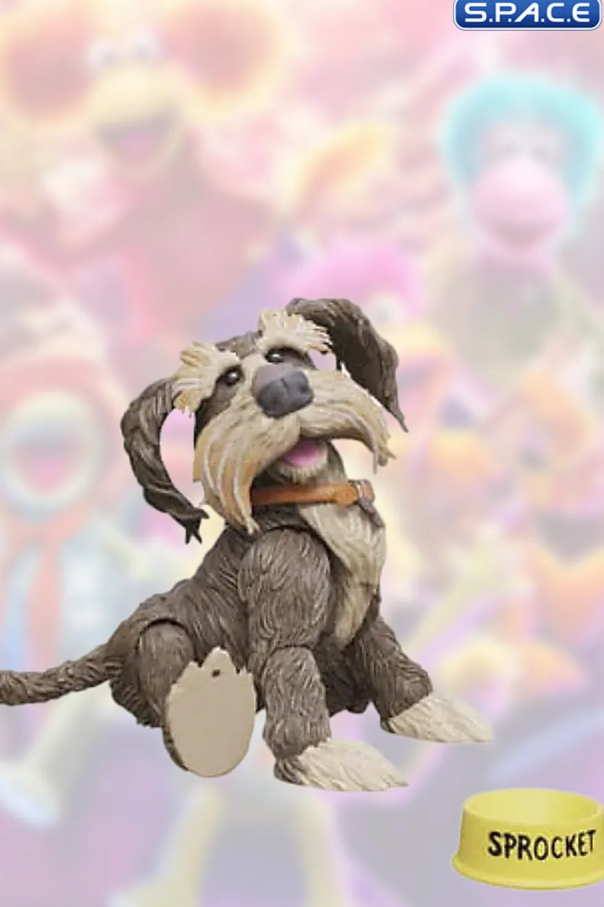 Sprocket
