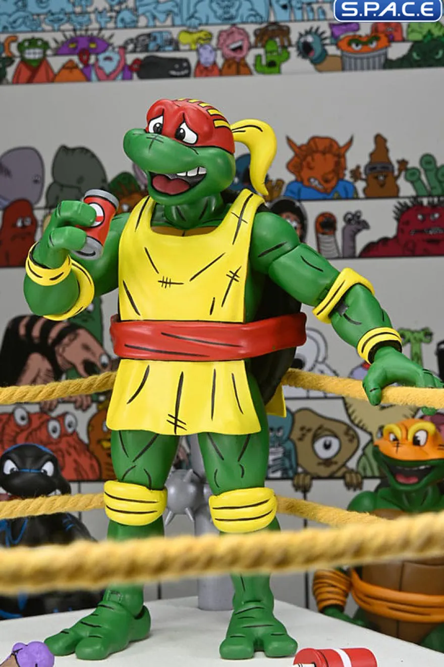 Stump Wrestling Turtles 4-Pack