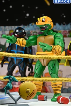 Stump Wrestling Turtles 4-Pack