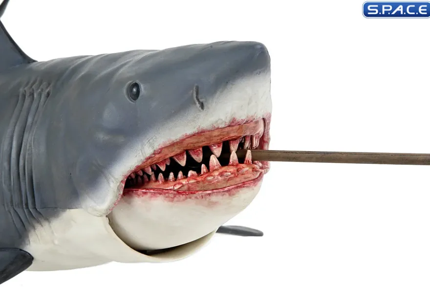 The Game of Jaws