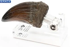 T-Rex Hand Claw Prop Replica