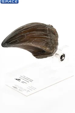 T-Rex Hand Claw Prop Replica
