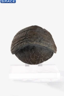 Triceratops Toenail Prop Replica