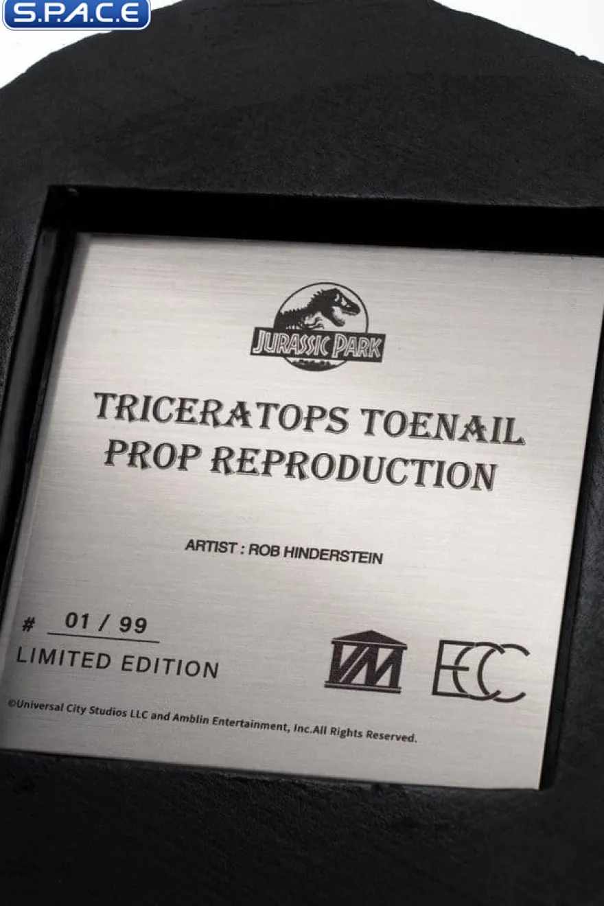 Triceratops Toenail Prop Replica
