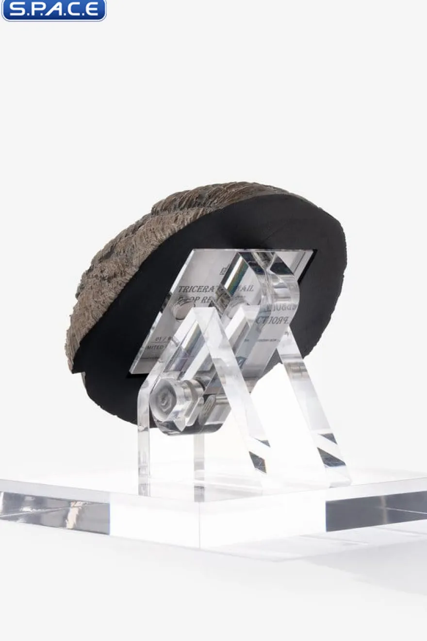 Triceratops Toenail Prop Replica