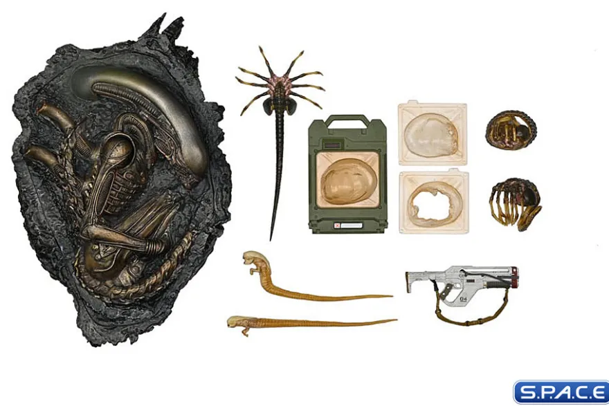 Ultimate Accessory Pack