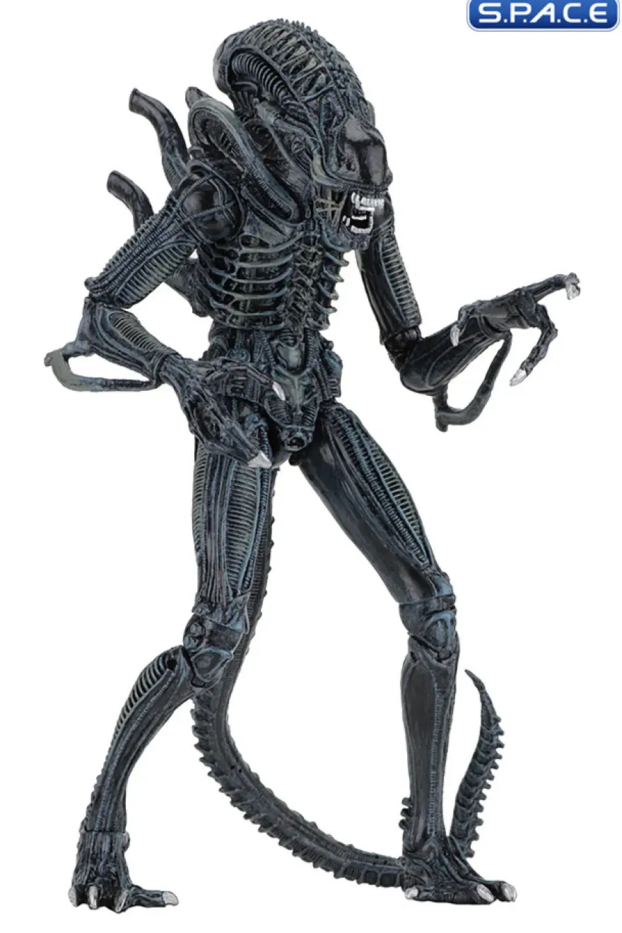 Ultimate Alien Warrior - blue Version