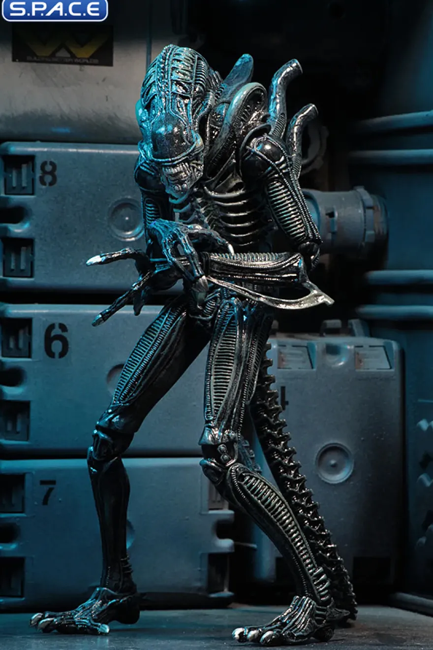 Ultimate Alien Warrior - blue Version