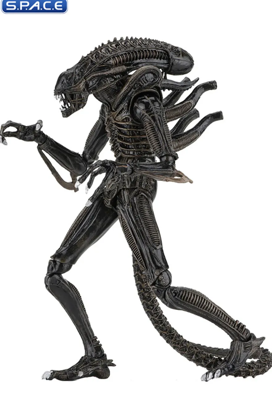 Ultimate Alien Warrior - brown Version