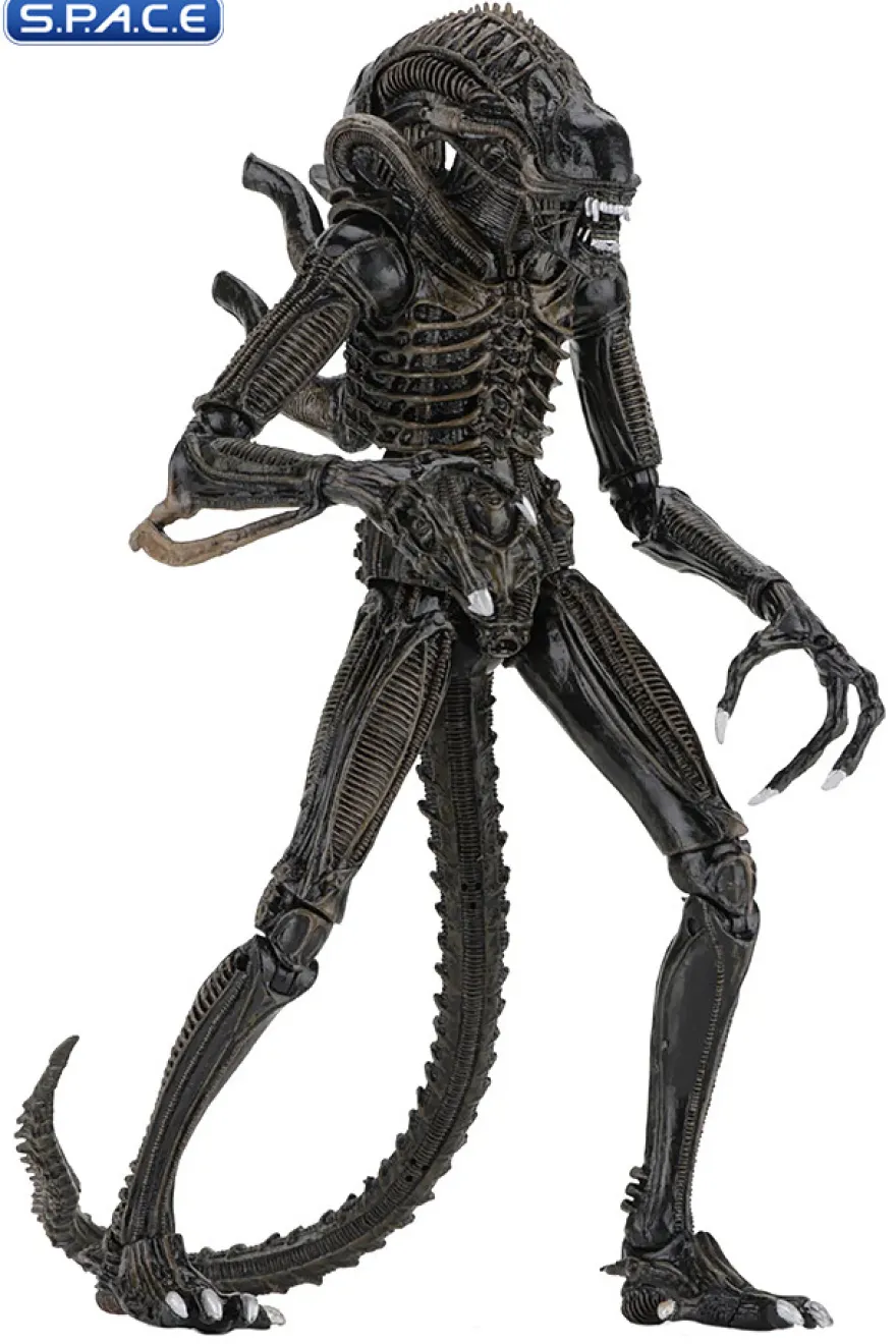 Ultimate Alien Warrior - brown Version