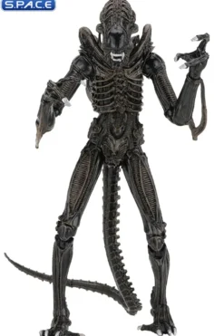 Ultimate Alien Warrior - brown Version