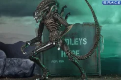 Ultimate Alien Warrior - brown Version