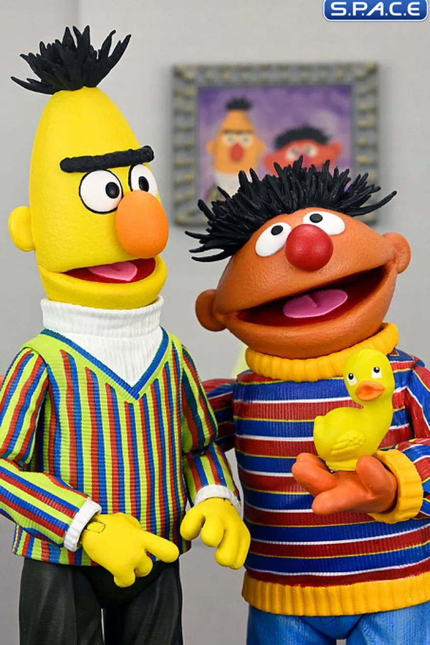 Ultimate Bert
